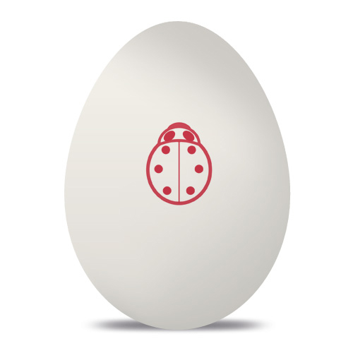 Custom Egg Stamp
