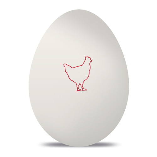 Custom Egg Stamp