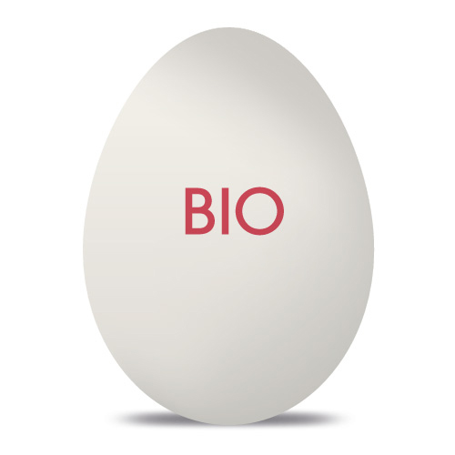 Custom Egg Stamp