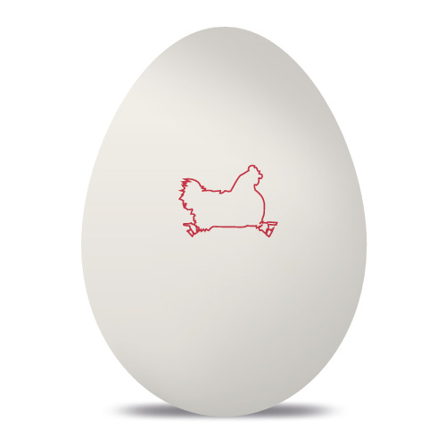 Custom Egg Stamp