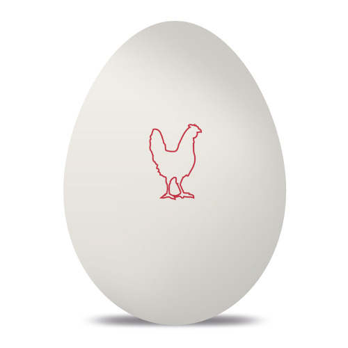 Custom Egg Stamp