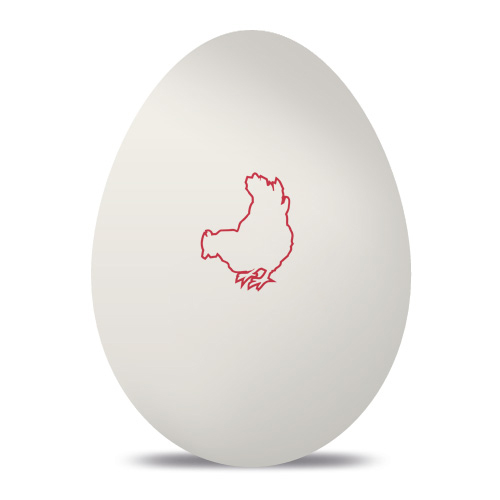 Custom Egg Stamp